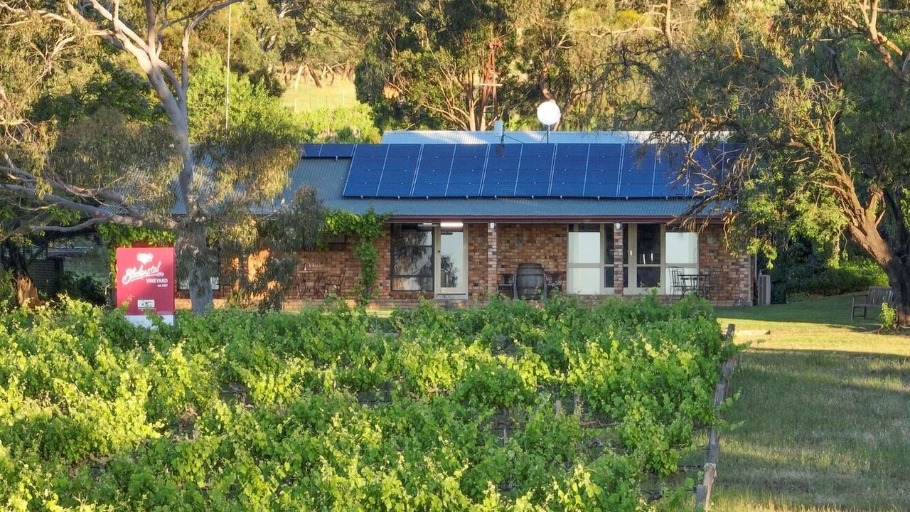 Photo of Outdoor in Bethany