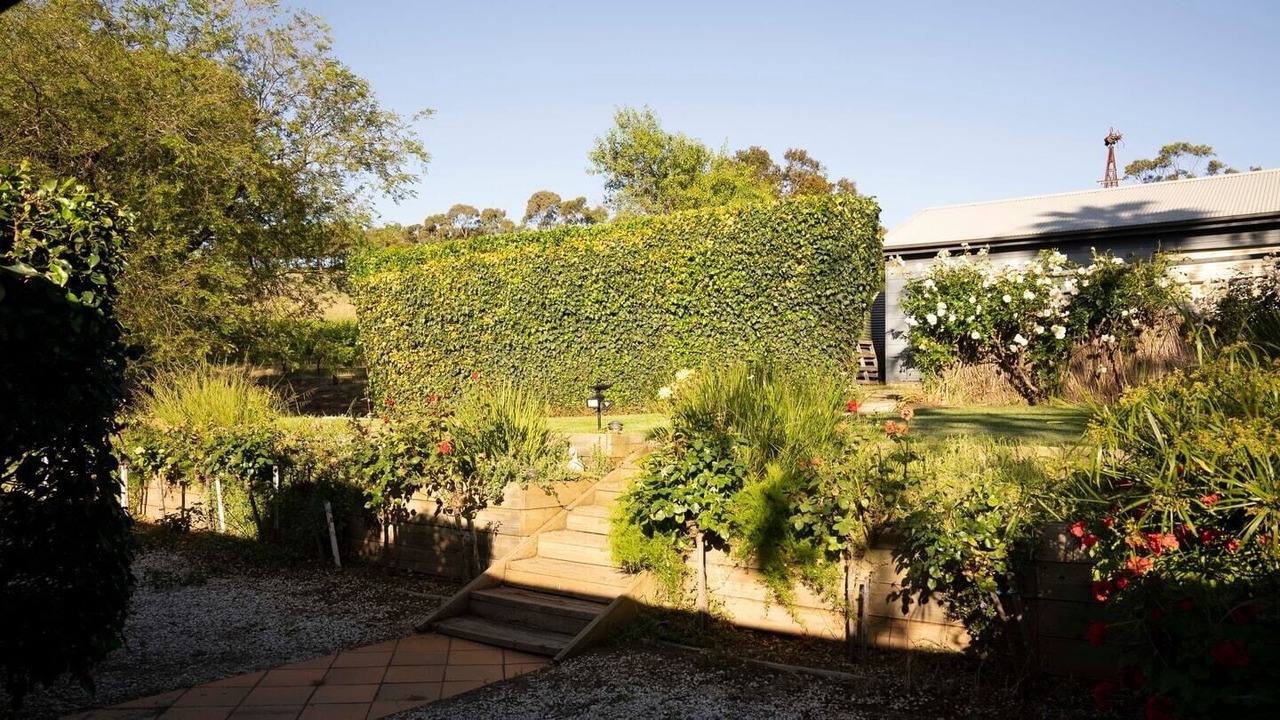 Photo of Outdoor in Bethany