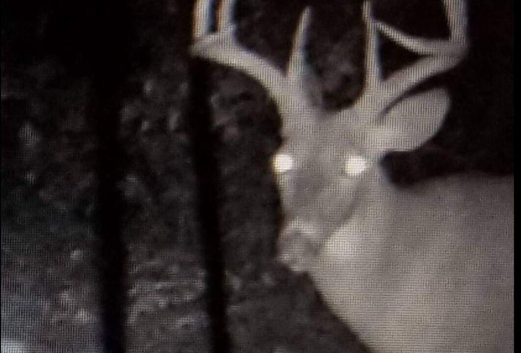 Photo of Others in Coleman