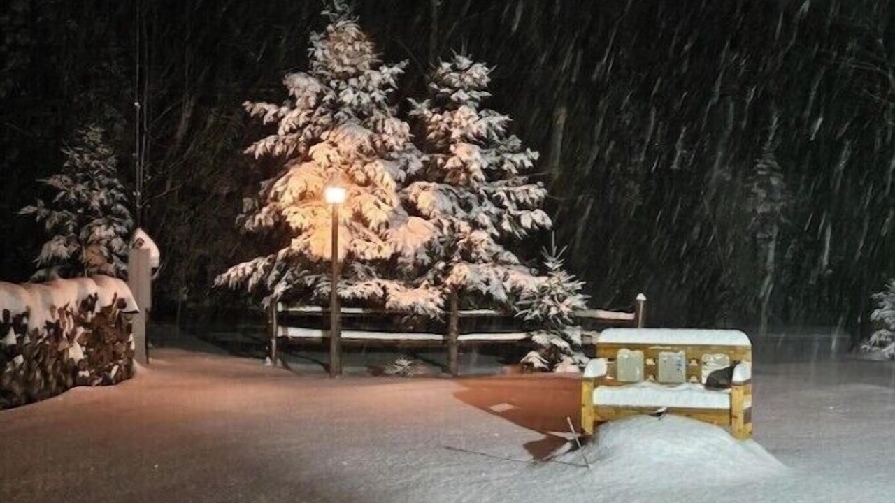 Photo of Others in Presque Isle