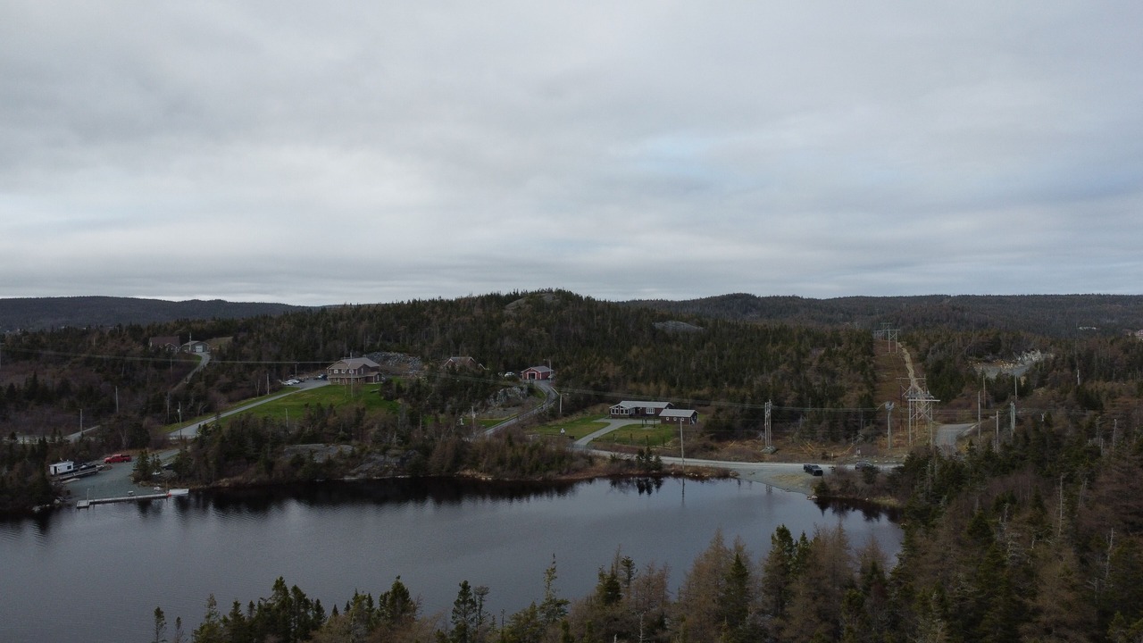Photo of Others in Cape Broyle