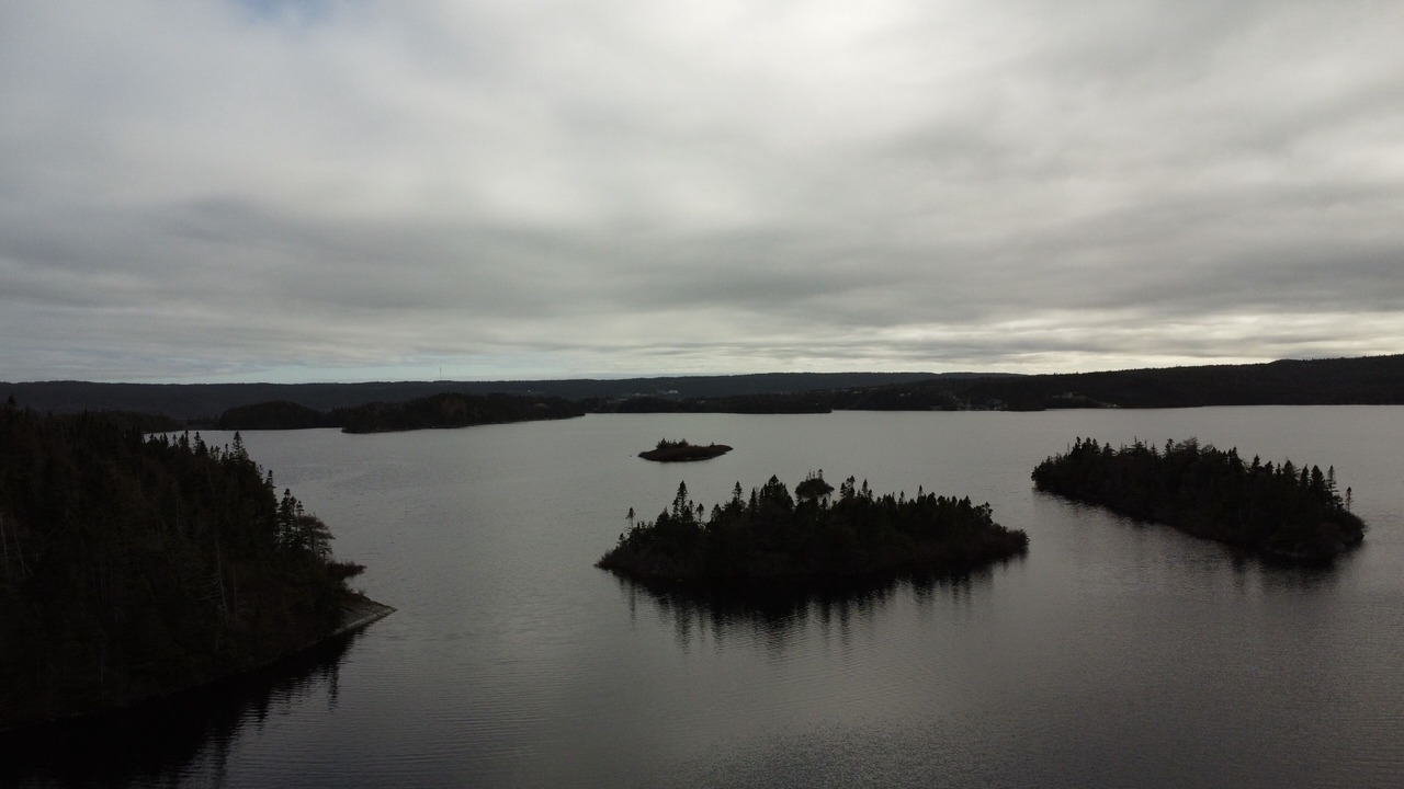 Photo of Others in Cape Broyle