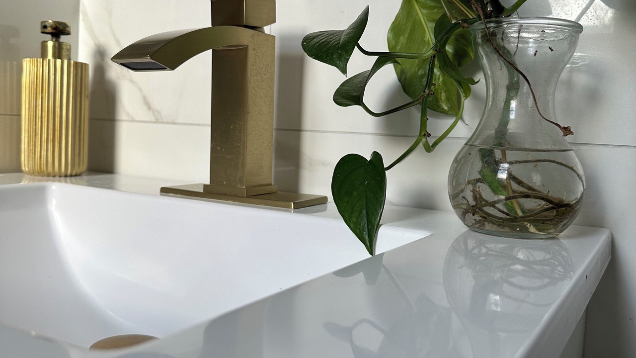 Photo of Others in South Side