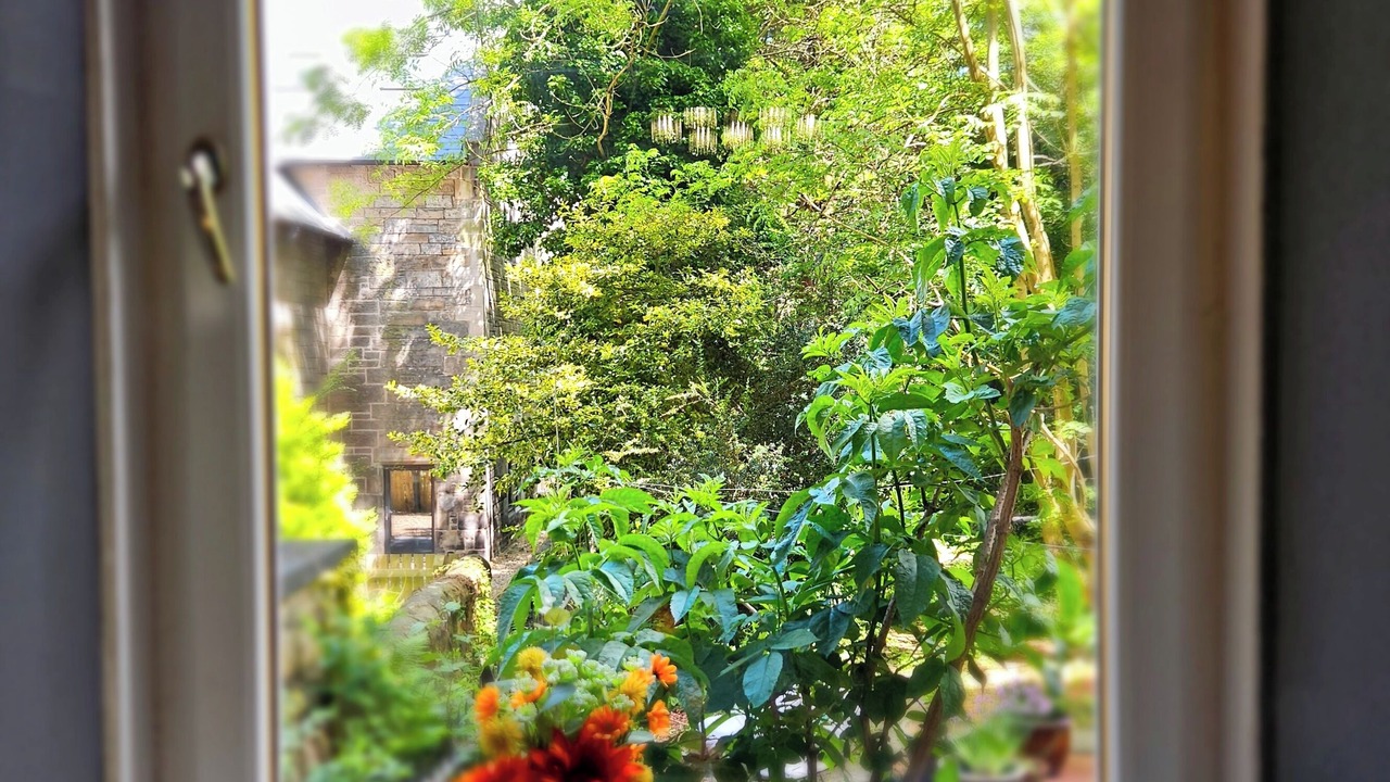 Photo of Others in West End