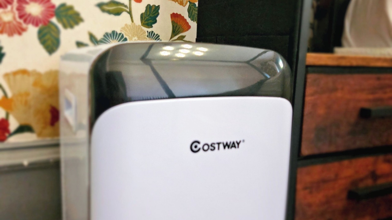 Photo of Others in West End