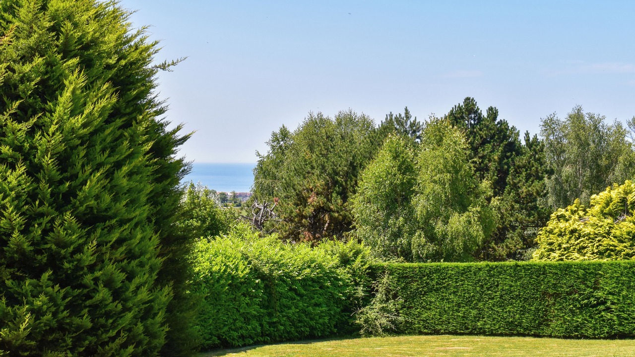 Photo of Outdoor in Touques