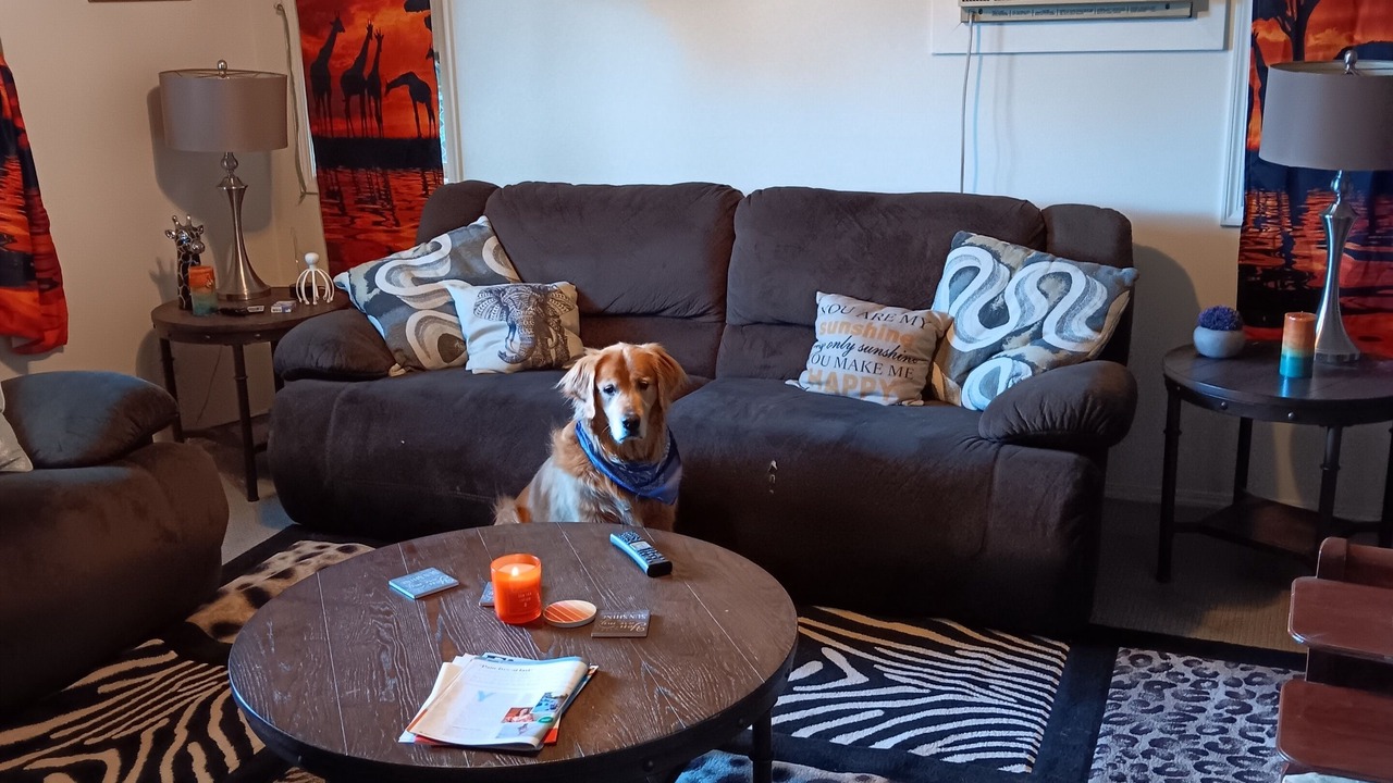 Photo of Livingroom in Veradale