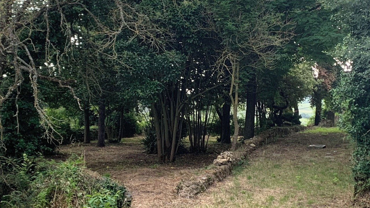 Photo of Outdoor in Villeneuve-la-Comptal