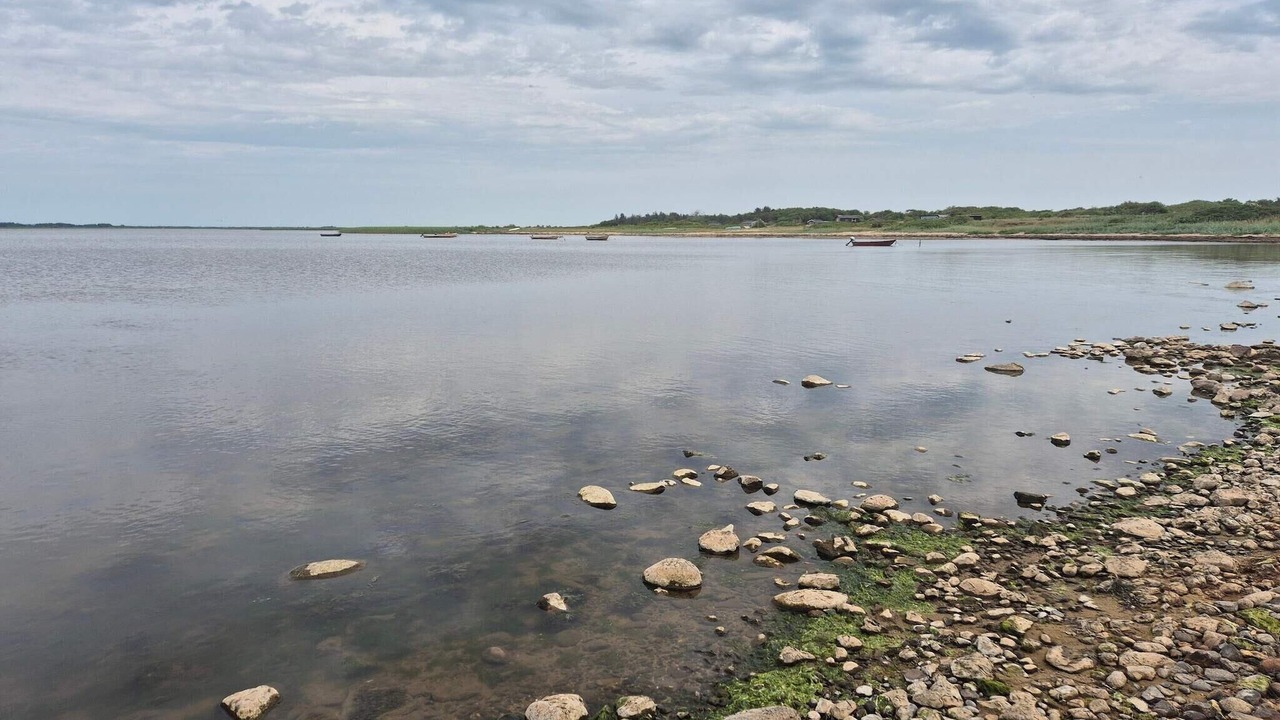 Photo of Others in Skaven Strand