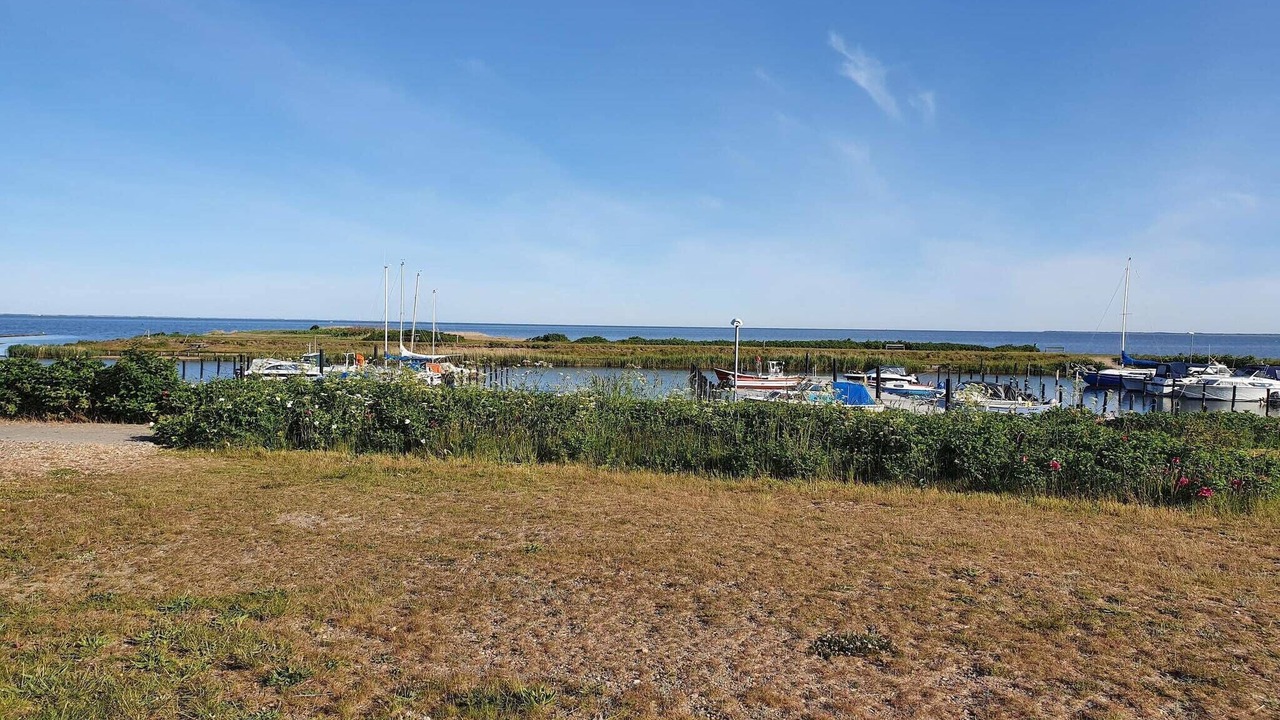Photo of Others in Skaven Strand