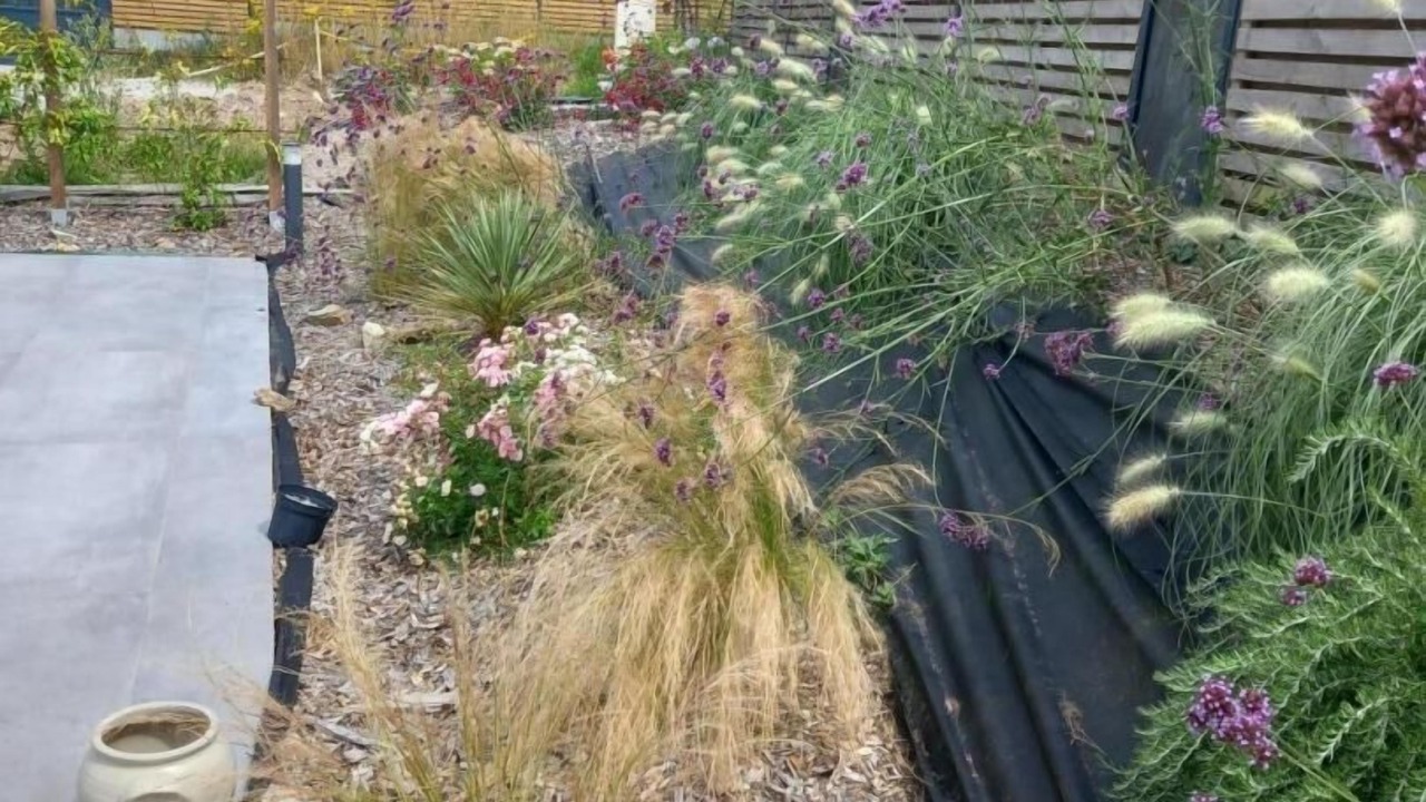 Photo of Outdoor in Muzillac