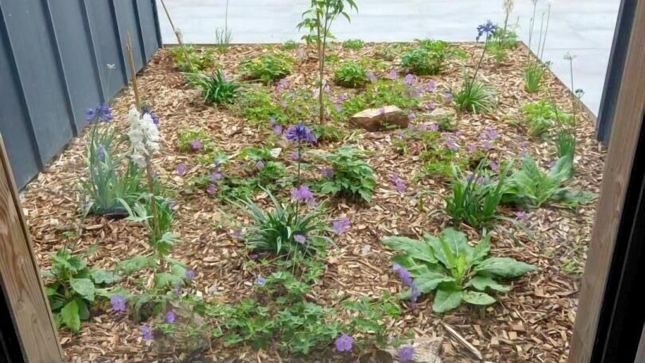 Photo of Others in Muzillac