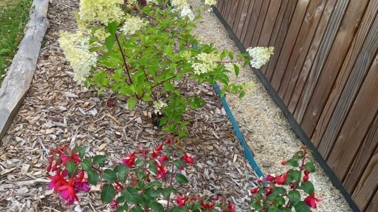 Photo of Outdoor in Muzillac