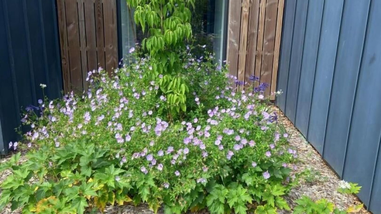 Photo of Outdoor in Muzillac