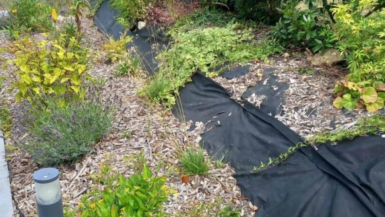 Photo of Outdoor in Muzillac