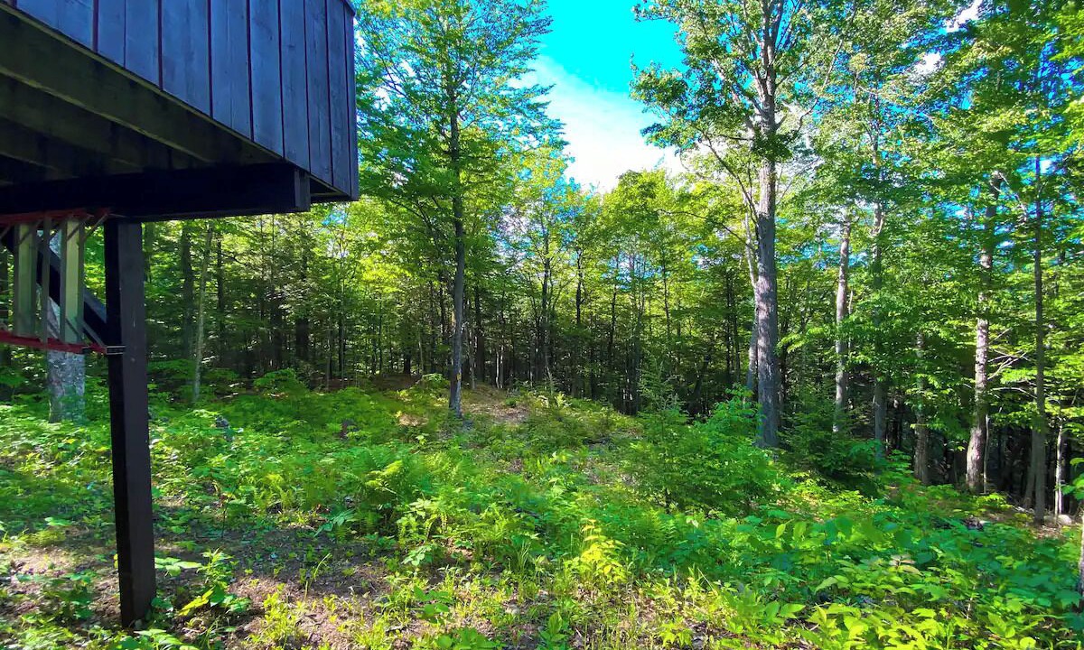 Photo of Outdoor in Jackson