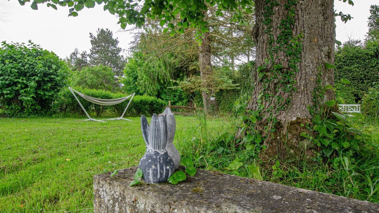 Photo of Outdoor in Rouilly-Sacey