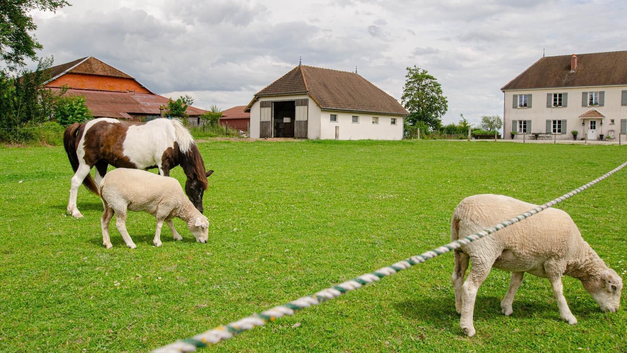 Photo of Outdoor in Rouilly-Sacey