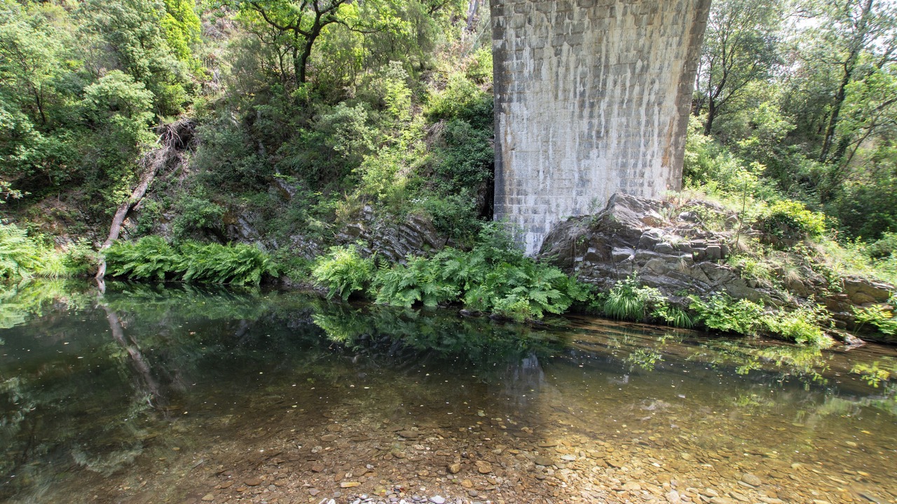 Photo of Others in Malbosc