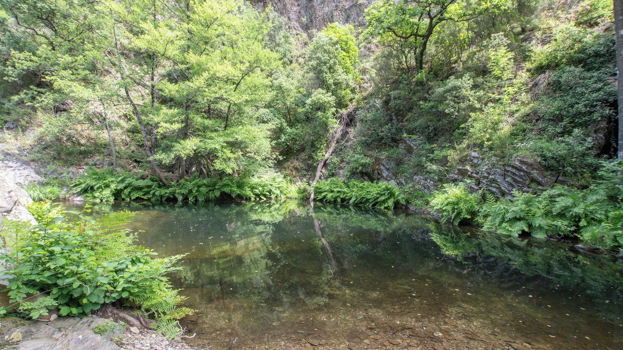 Photo of Others in Malbosc