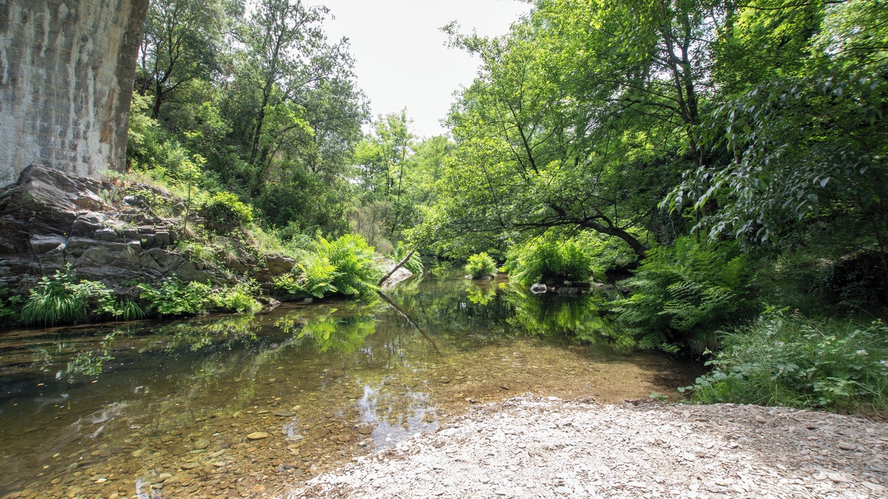 Photo of Others in Malbosc