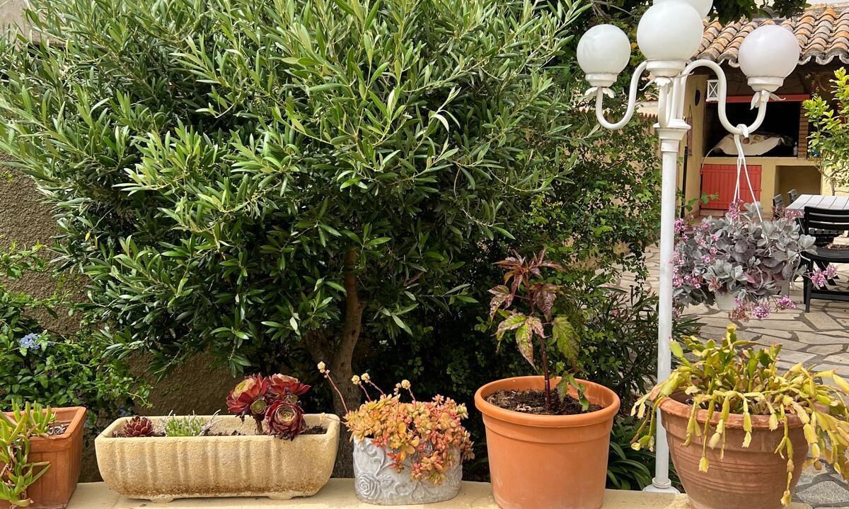 Photo of Outdoor in Capestang