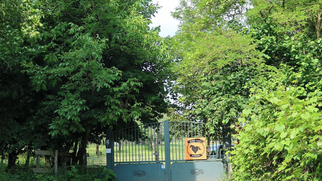 Photo of Others in Lantenay