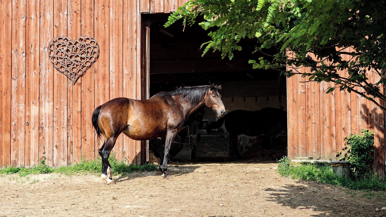 Photo of Others in Lantenay