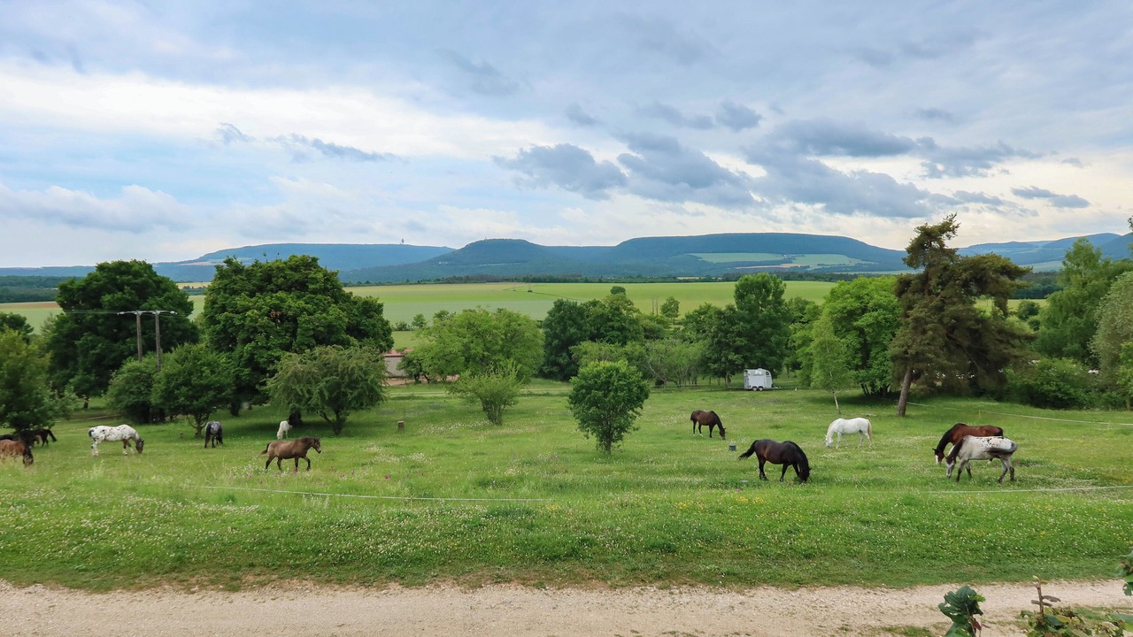 Photo of Others in Lantenay