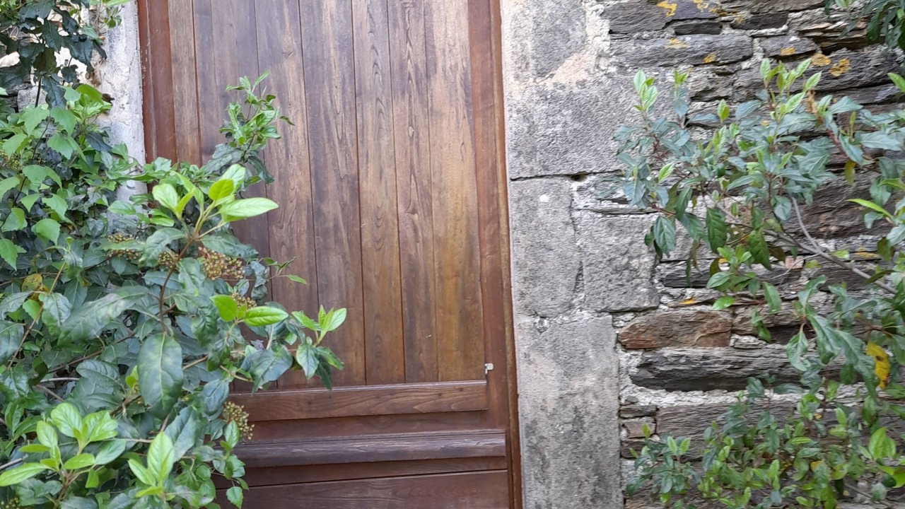 Photo of Outdoor in Navas