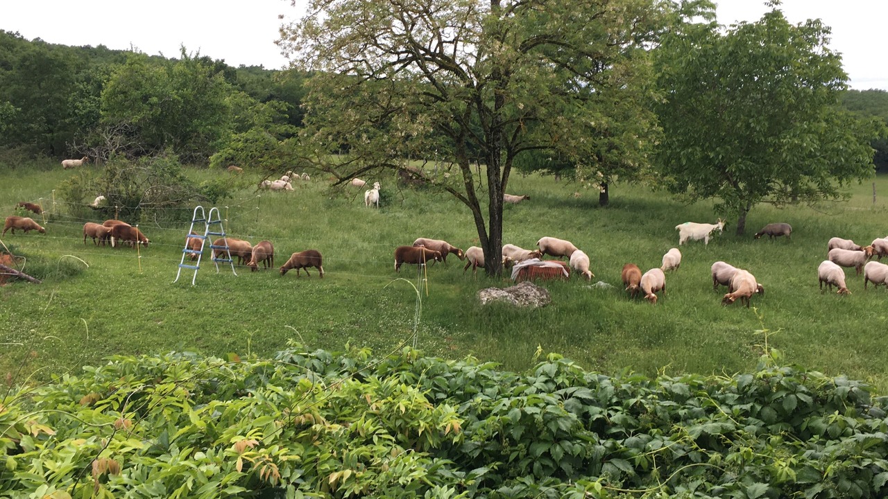 Photo of Outdoor in Feneyrols