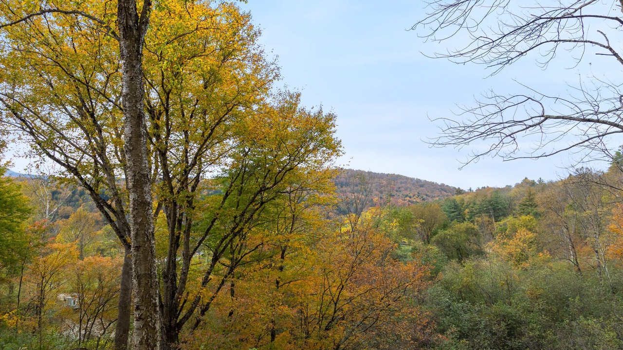 Photo of Outdoor in Johnson