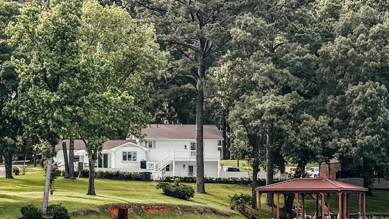 Photo of Outdoor in Lone Star