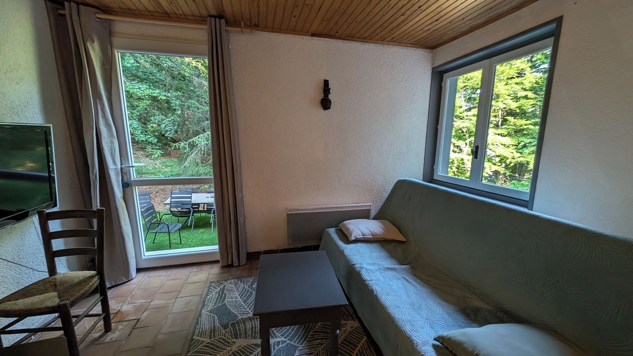 Photo of Livingroom in Laguiole