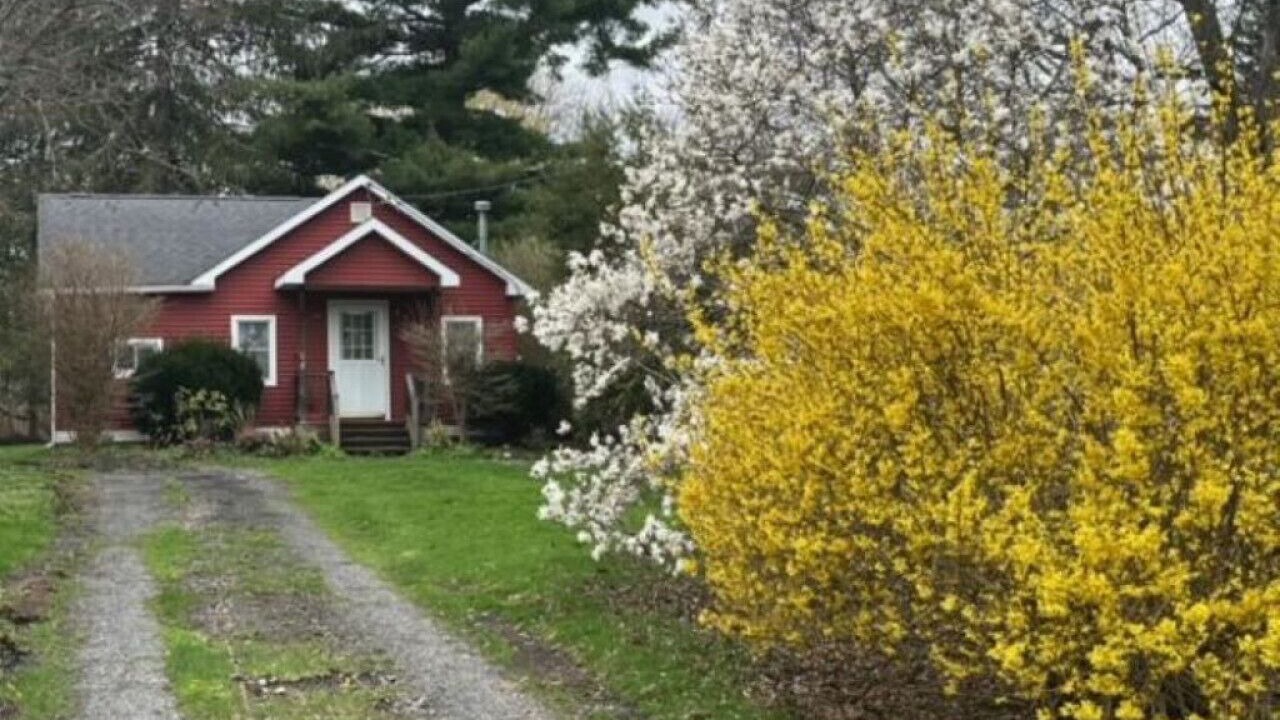 Photo of Outdoor in Skaneateles