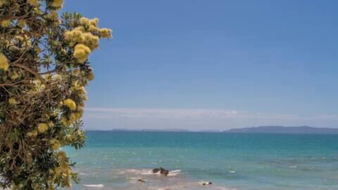 Photo of Others in Rings Beach