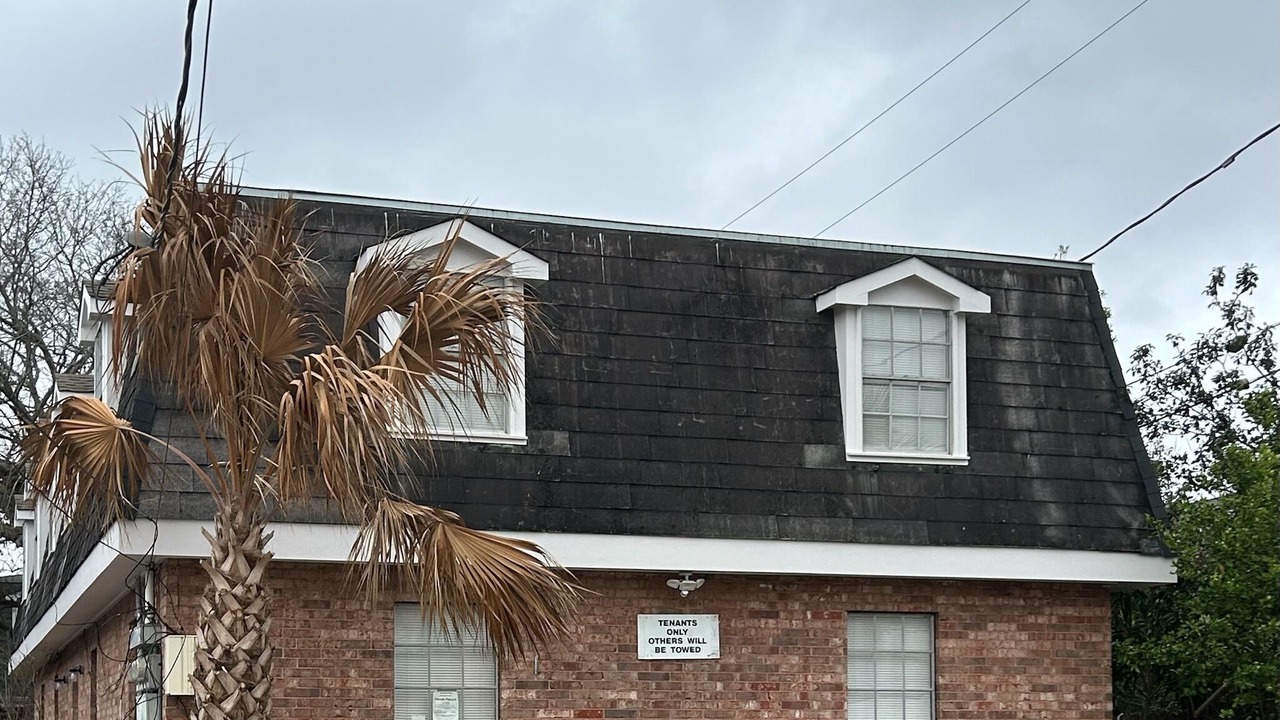 Photo of Outdoor in Metairie