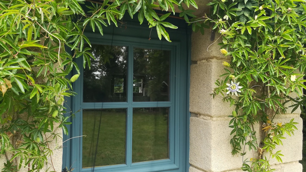 Photo of Outdoor in Plouagat