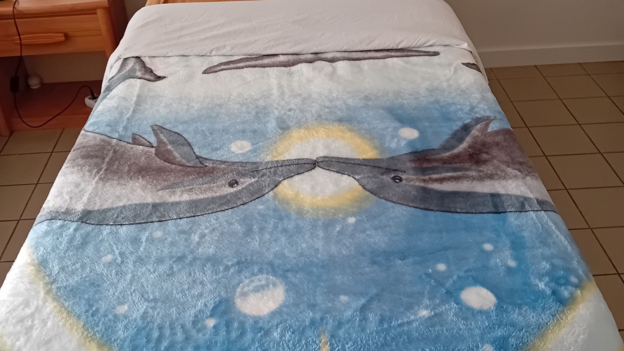 Photo of Bedroom in Bourgoin-Jallieu