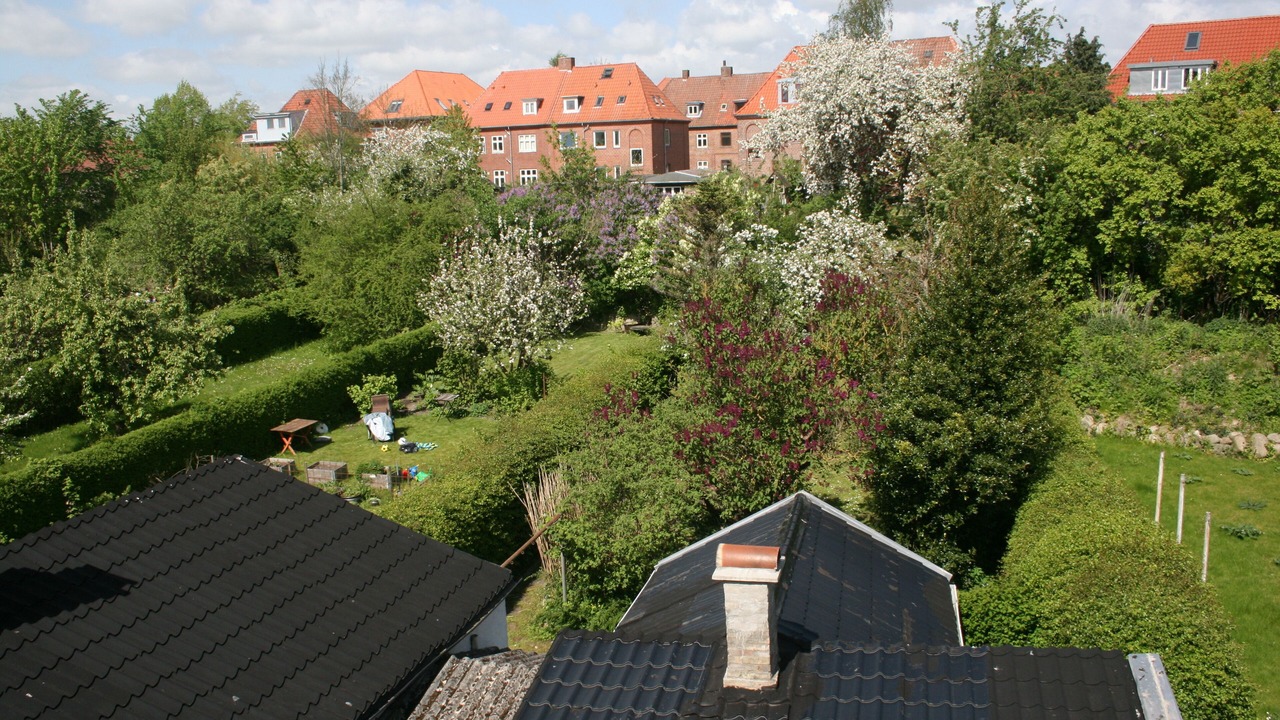 Photo of Outdoor in Odense