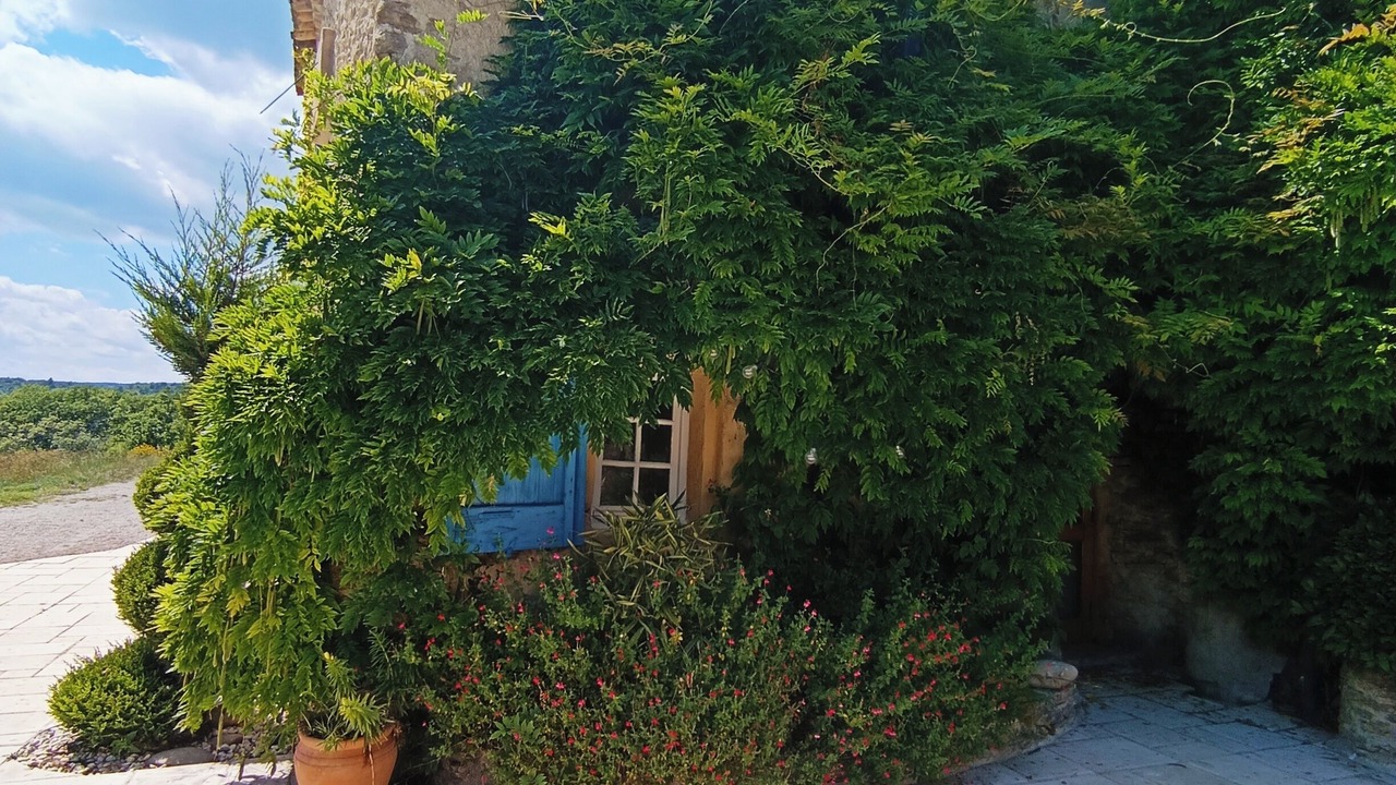 Photo of Outdoor in Pierrerue