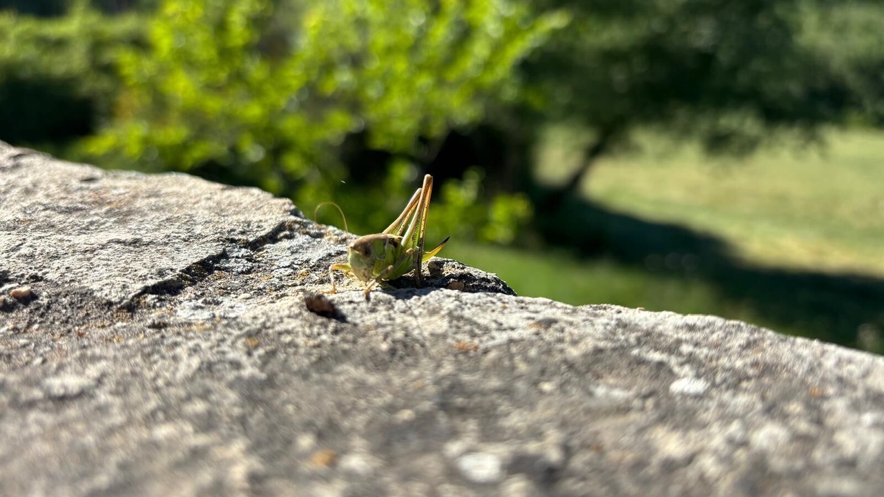 Photo of Outdoor in Pierrerue