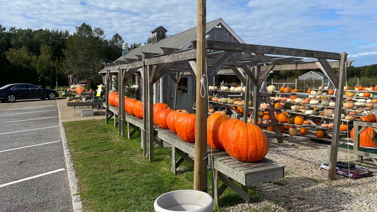 Photo of Outdoor in Bridgehampton