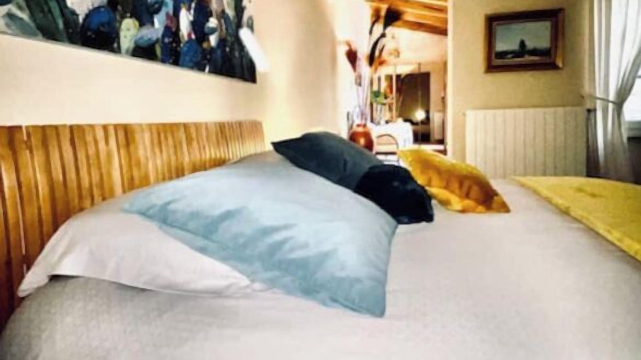 Photo of Bedroom in Cabrespine