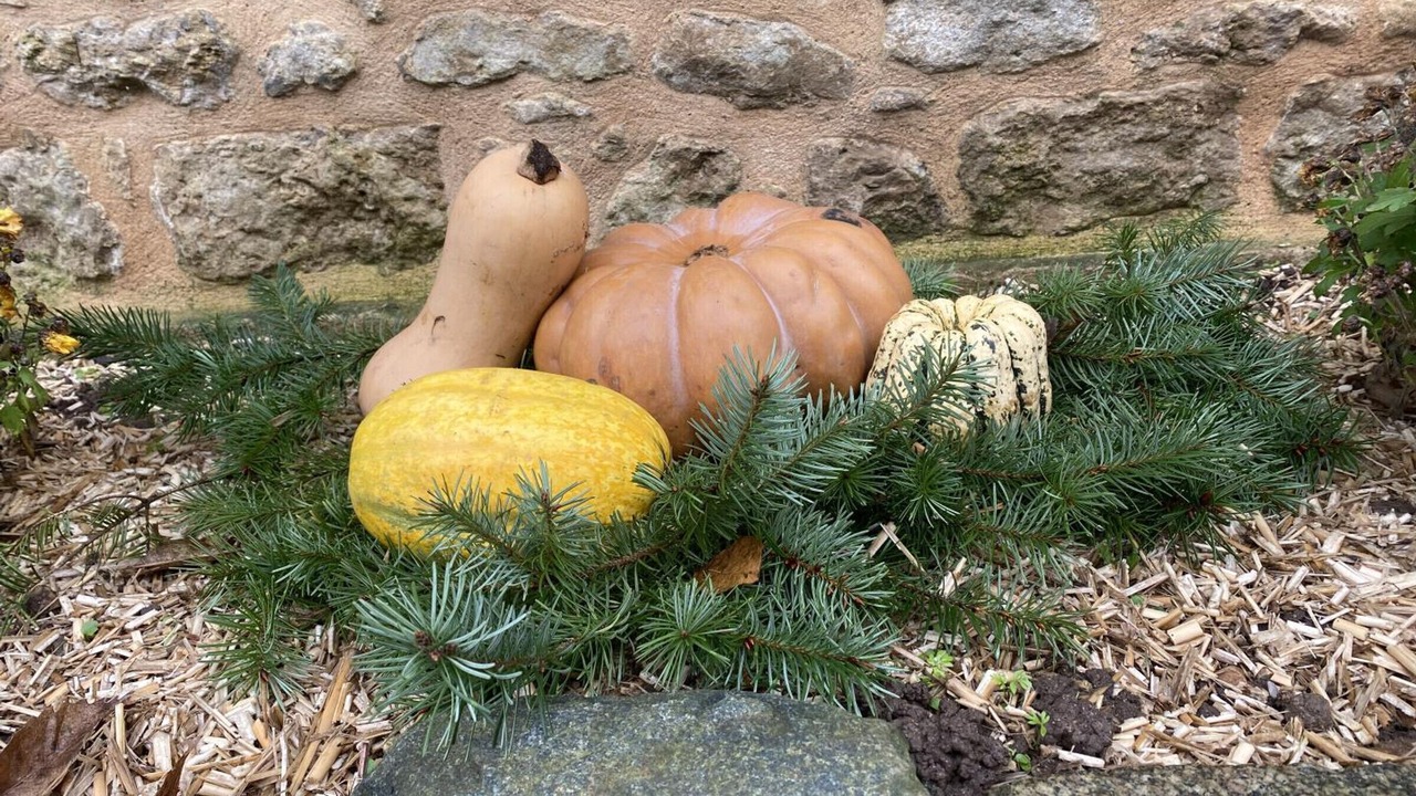 Photo of Others in Saint-Germain-de-Tournebut