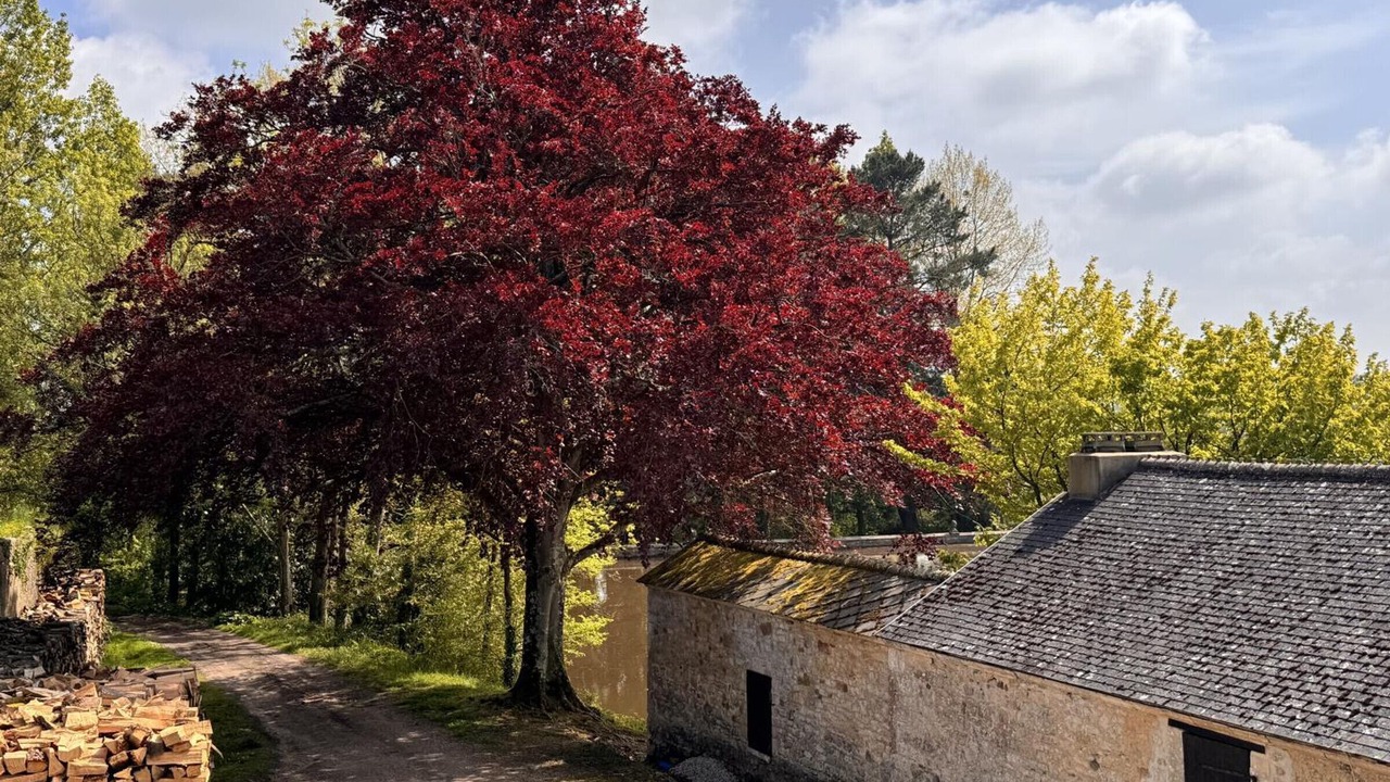 Photo of Bathroom in Saint-Germain-de-Tournebut