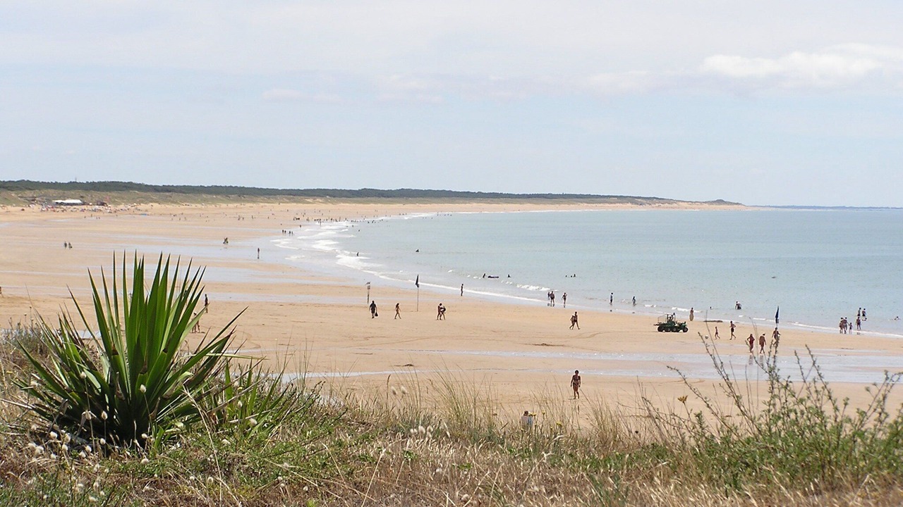 Photo of Others in Longeville-sur-Mer