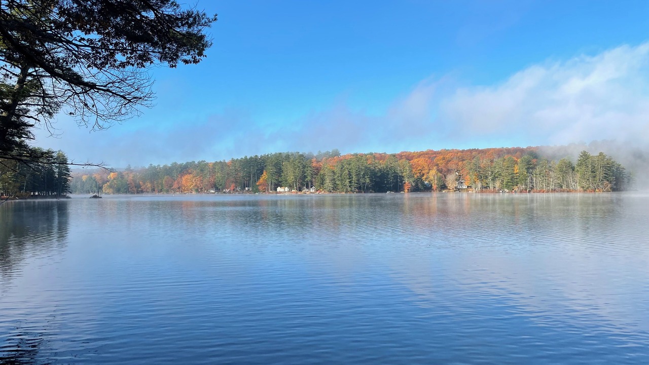 Photo of Others in Readfield