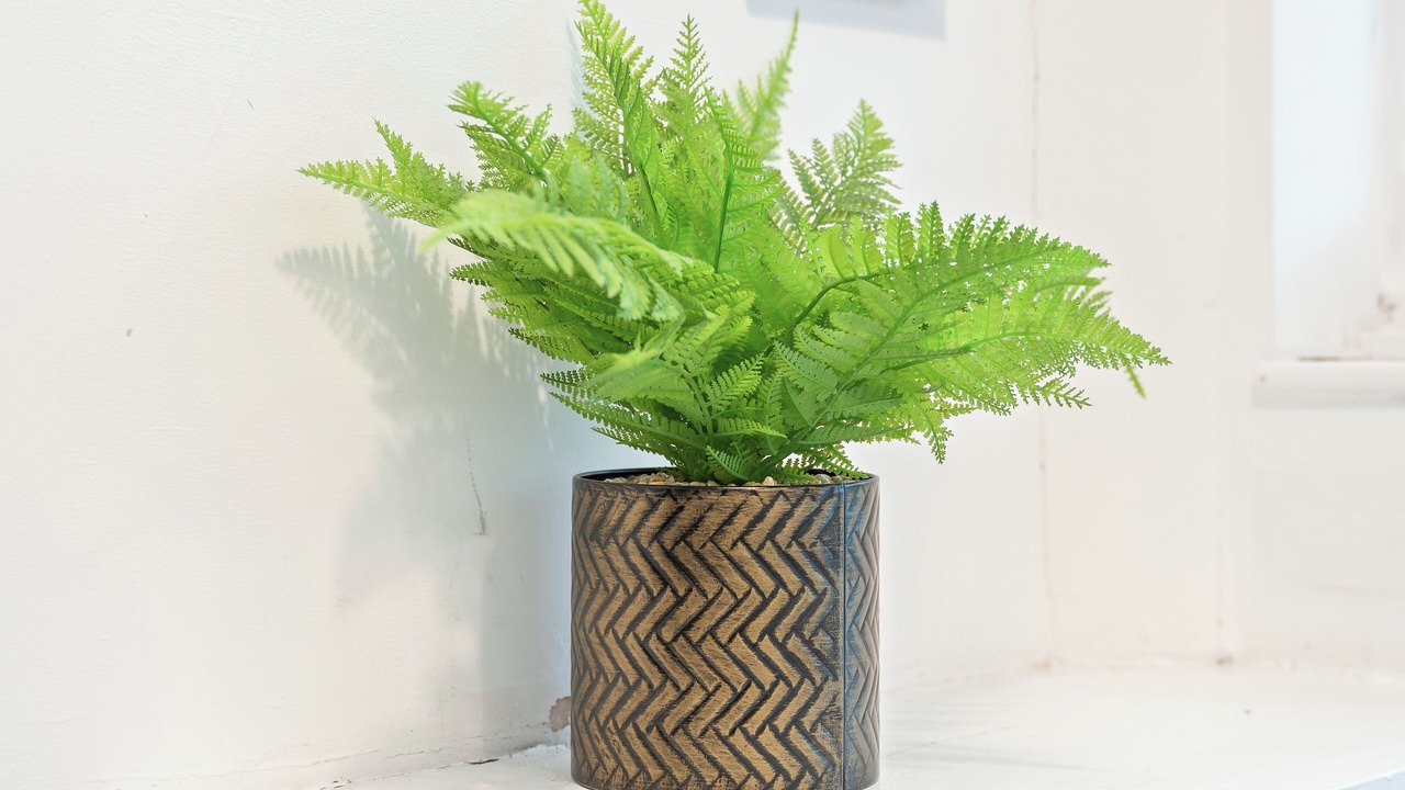 Photo of Others in Moffat