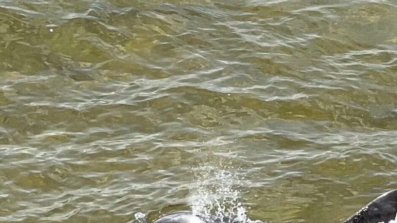 Photo of Others in Niceville